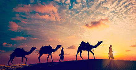 Jaisalmer Seasonal Tour Packages | call 9899567825 Avail 50% Off